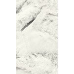 Dámska kožušinová bunda biela  (BR9741-26)